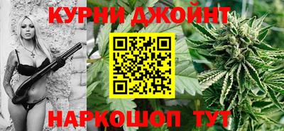 apvp Моздок