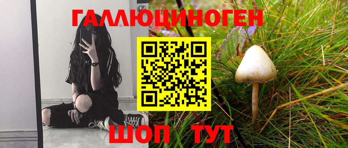 где купить наркоту  Вход с VPN  Туапсе  Галлюциногенные грибы мухоморы 